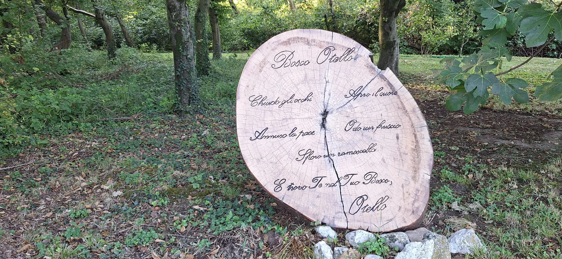 Bosco Otello woodland near Borgo Botol