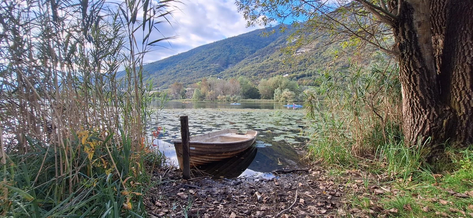 Wooden boat moored beside Lago di Revine