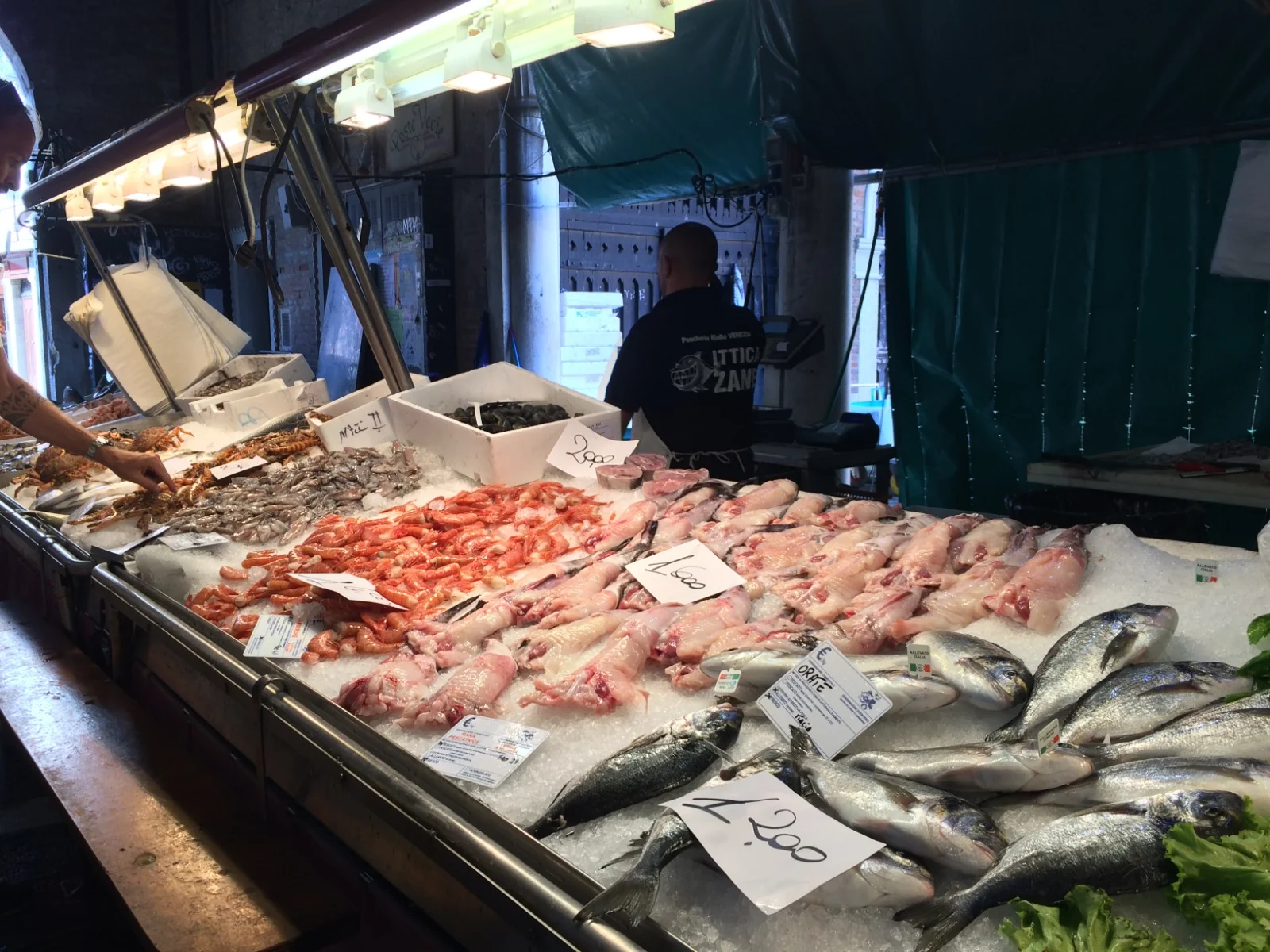 Fresh fish at the Rialto market